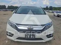 2020 Honda ODYSSEY photo