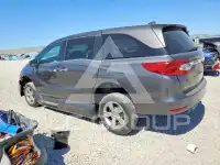 2020 Honda ODYSSEY фото