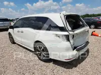 2020 Honda ODYSSEY фото