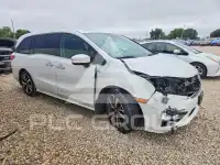2020 Honda ODYSSEY фото