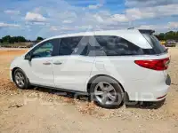 2020 Honda ODYSSEY photo