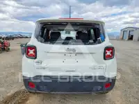 2020 Jeep Renegade фото