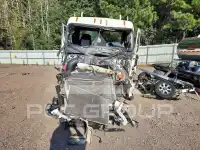2020 Freightliner All Other фото