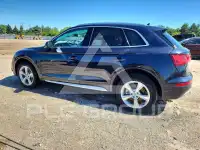 2020 Audi Q5 фото