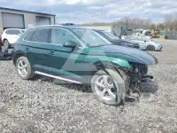 2020 Audi Q5 фото