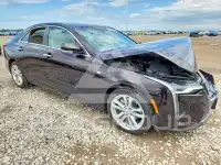 2020 Cadillac CT4 фото