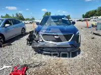 2020 Cadillac XT4 фото