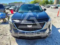 2020 Cadillac XT4 фото