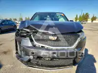 2020 Cadillac XT6 photo
