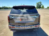 2020 Cadillac XT6 фото