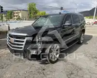 2020 Cadillac ESCALADE фото