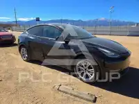 2020 Tesla Model Y фото
