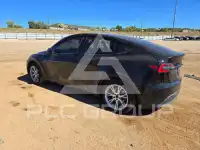2020 Tesla Model Y фото