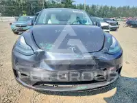 2020 Tesla Model Y photo