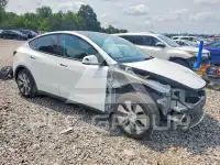 2020 Tesla Model Y фото