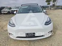 2020 Tesla Model Y photo