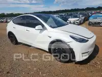 2020 Tesla Model Y photo