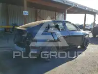 2020 Tesla Model Y photo