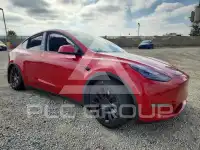 2020 Tesla Model Y фото