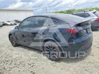2020 Tesla Model Y photo