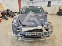 2020 Tesla Model Y photo