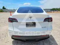 2020 Tesla Model Y фото