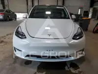 2020 Tesla Model Y photo
