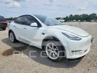 2020 Tesla Model Y photo