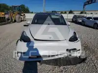 2020 Tesla Model Y фото