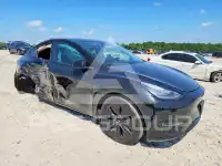 2020 Tesla Model Y фото