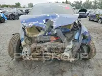 2020 Tesla Model Y фото
