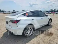 2020 Tesla Model Y photo