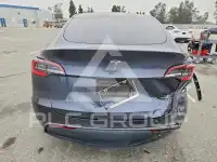 2020 Tesla Model Y фото