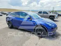 2020 Tesla Model Y фото