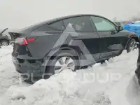 2020 Tesla Model Y фото