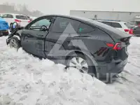 2020 Tesla Model Y фото