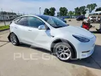 2020 Tesla Model Y photo