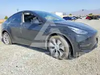 2020 Tesla Model Y фото