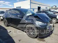 2020 Tesla Model Y фото
