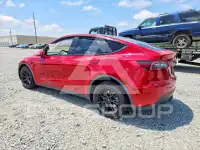 2020 Tesla Model Y photo