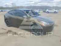2020 Tesla Model Y photo