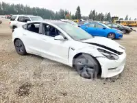 2020 Tesla Model 3 фото