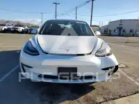 2020 Tesla Model 3 фото