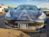 2020 Tesla Model 3 фото
