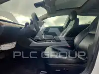 2020 Tesla Model 3 photo