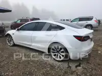 2020 Tesla Model 3 фото