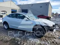 2020 Tesla Model 3 photo