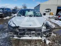 2020 Tesla Model 3 photo