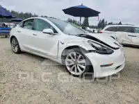 2020 Tesla Model 3 фото