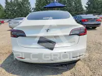 2020 Tesla Model 3 фото